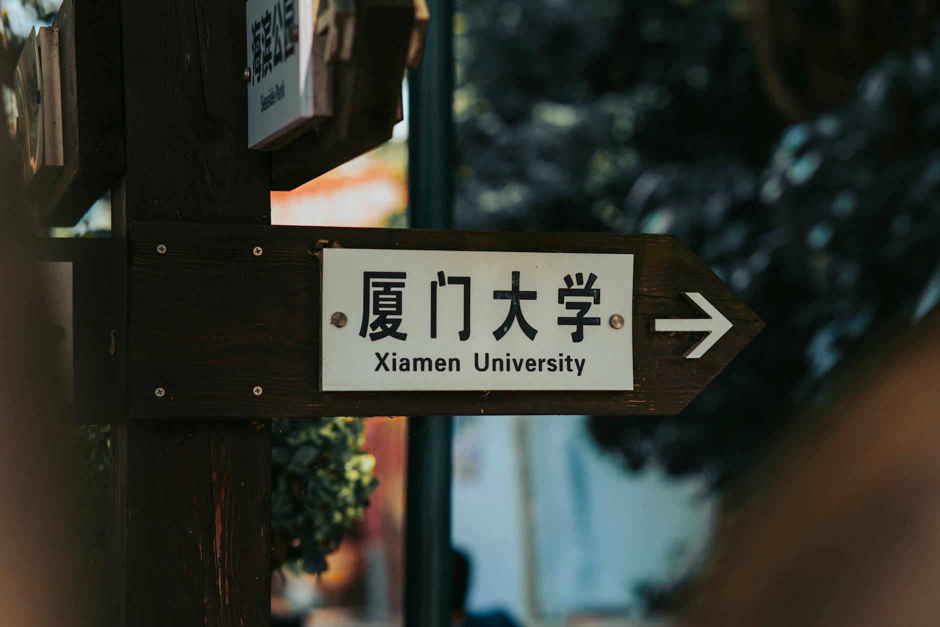 加拿大硕士,Co-op项目,实习,申请条件,2026,留学工作